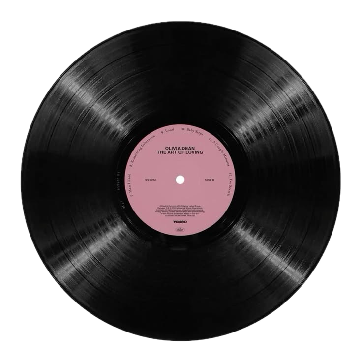 Vinile refes to music